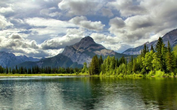 Лесное озеро в Канаде