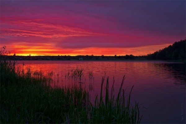 Белое озеро (Рязанская область, Северное)