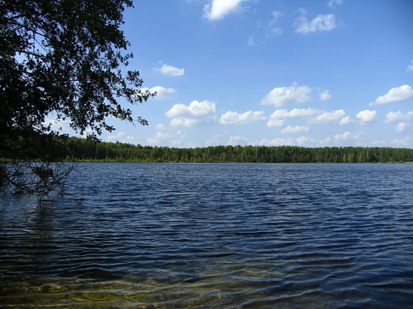 Белое озеро Шатура
