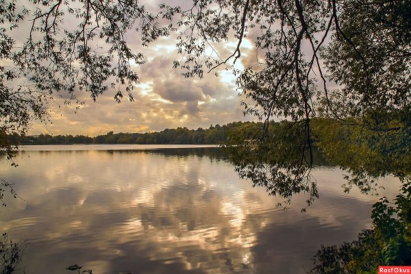 Озеро святое черное Шатура