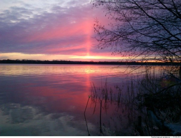 Белое озеро Шатура