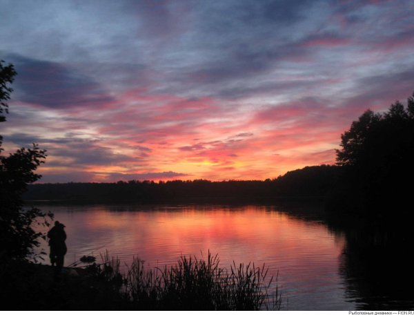 Озеро белое Шатурский район