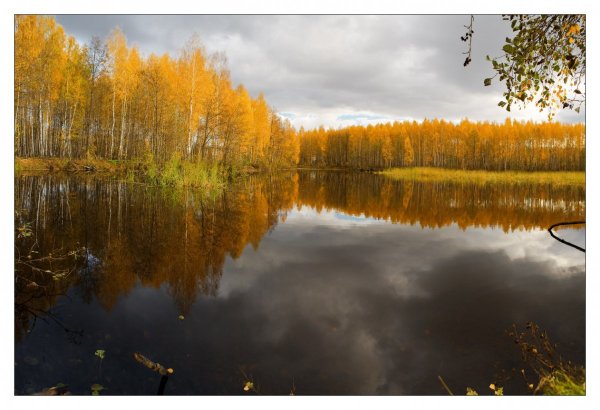 Озеро белое Шатурский район