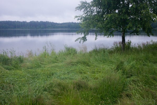 Свиношное озеро Шатурского района