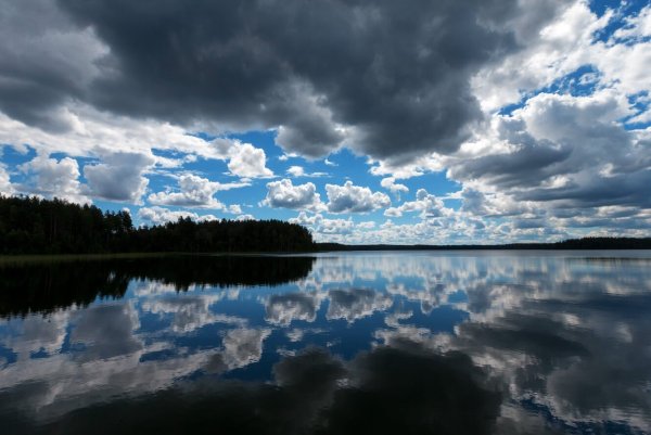 Озеро белое Витебская область