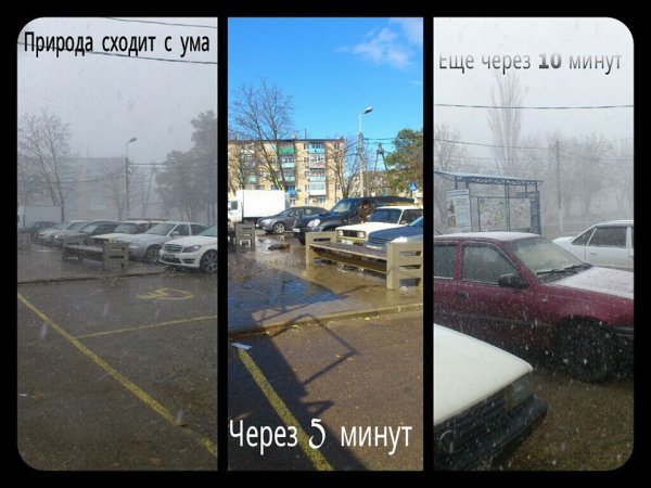 Природа сошла с ума