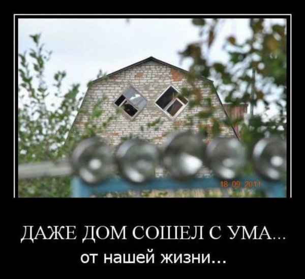 Картинки как сходят с ума