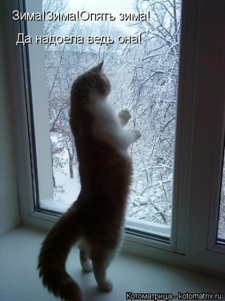 Поскорей бы Весна