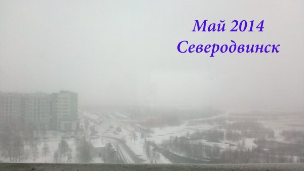 Погода сошла с ума картинки смешные