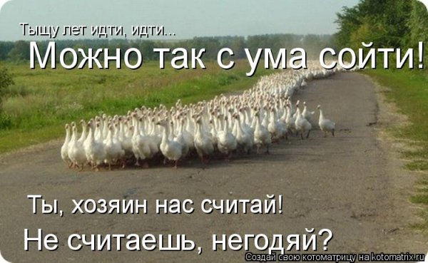 Идут идут идут идут идут идут идут идут идут