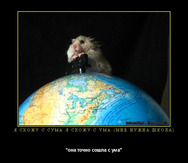 Мир сошёл с ума картинки прикольные