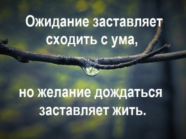 Желание дождаться заставляет жить