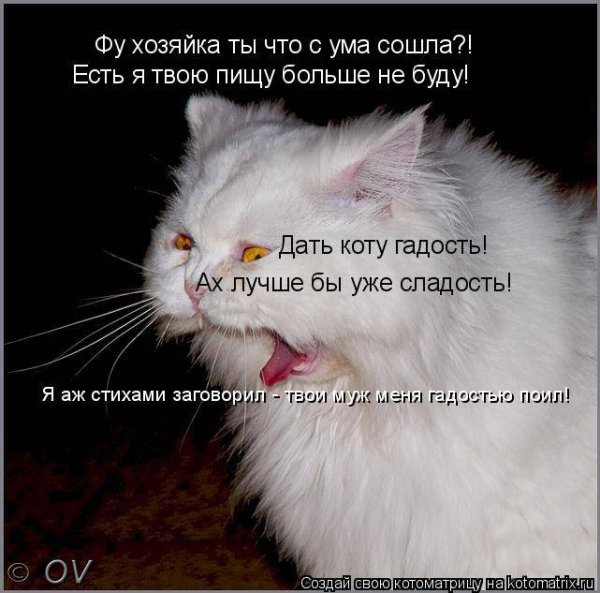 Схожу с ума картинки