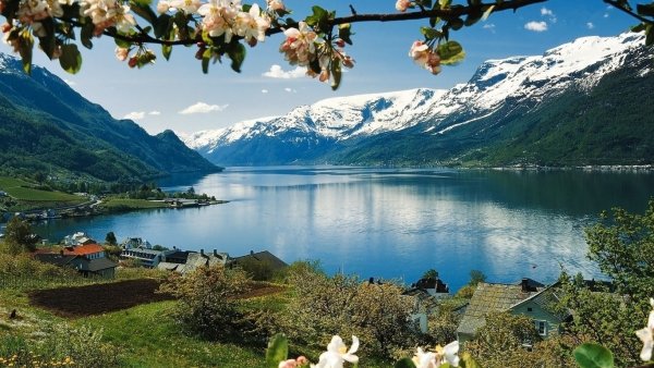 Растительность в норвежских фьордах