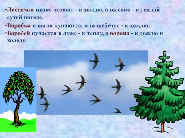 Народные приметы о погоде иллюстрации