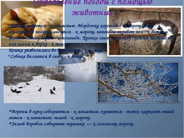 Народных примет о погоде