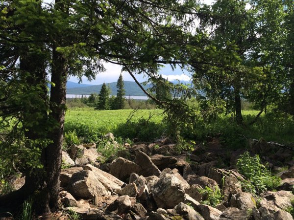 Зюраткуль лес