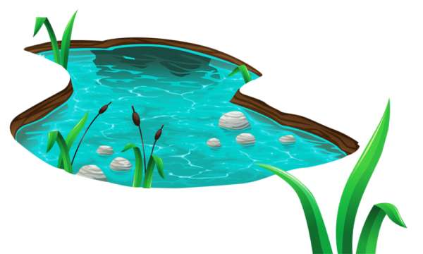 Водоем на белом фоне