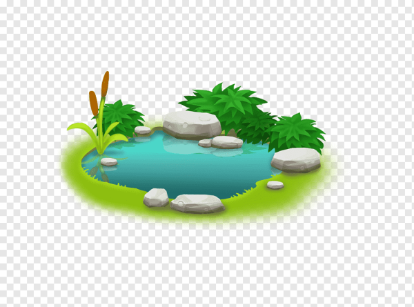 Пруд на белом фоне