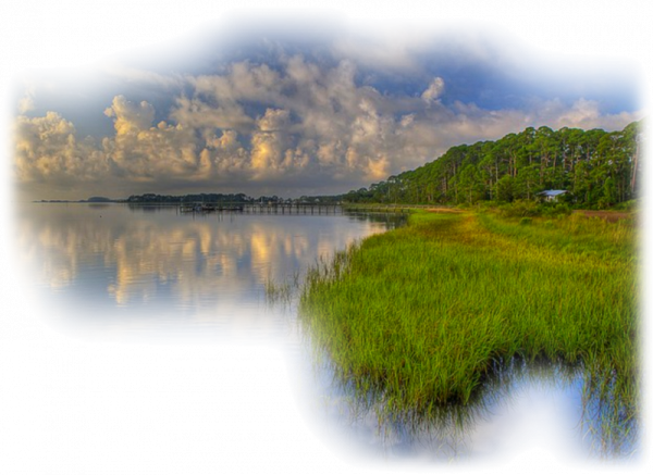 Прозрачный пейзаж