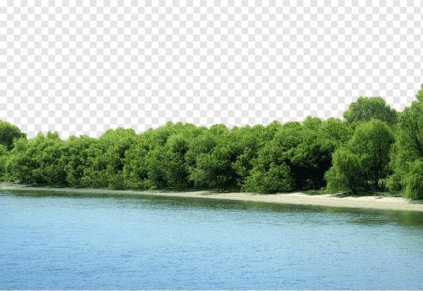 Река на прозрачном фоне