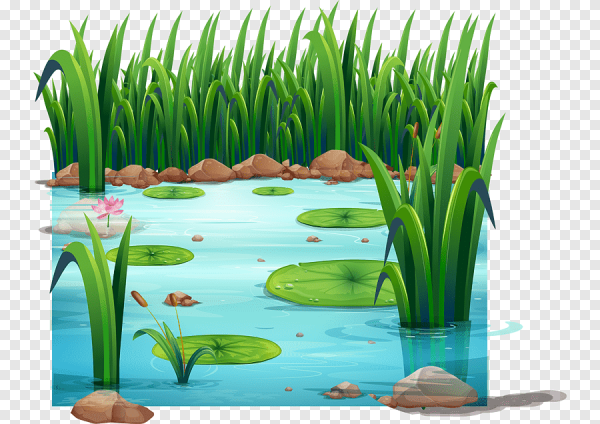 Пруд мультяшный