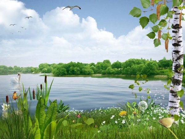 Рамка природа