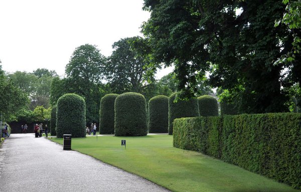 Англия Лондон гайд парк