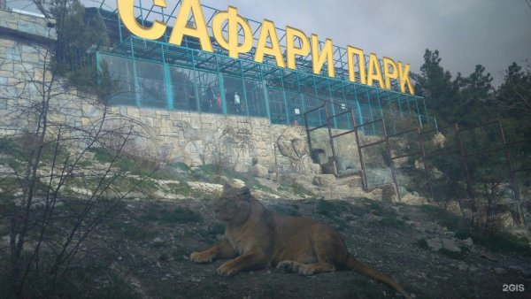 Город Геленджик сафари парк