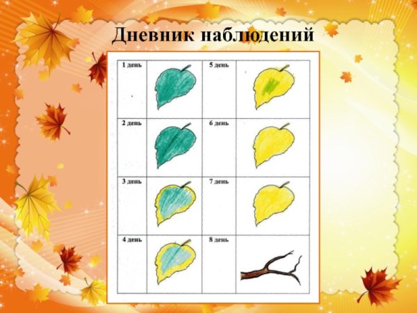 Дневник наблюдений для дошкольников