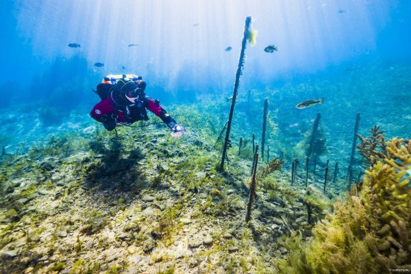 Озеро Увильды дайвинг