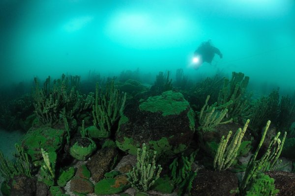 Озеро Байкал дно озера