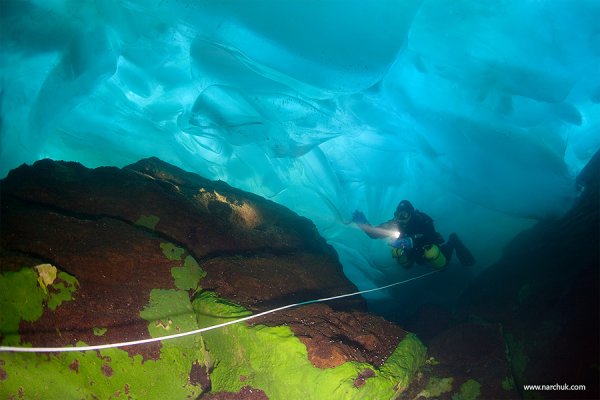 Андрей Нарчук