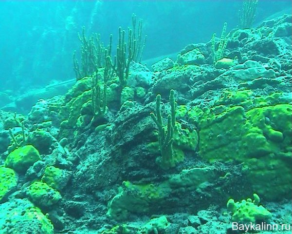 Байкал под водой