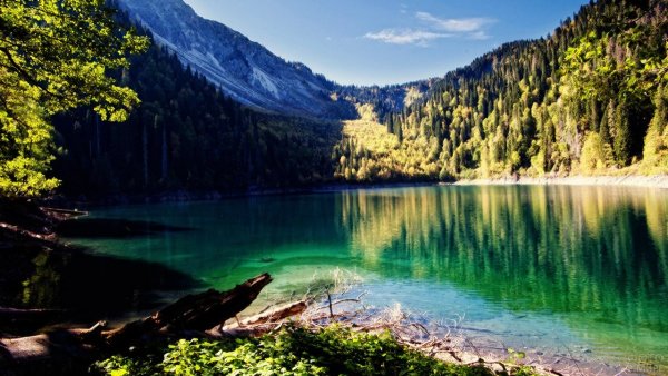 Абхазия достопримечательности озеро Рица