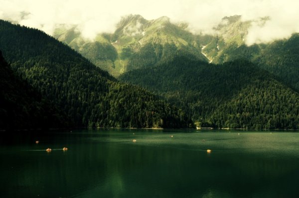 Озеро Рица Абхазия пляж