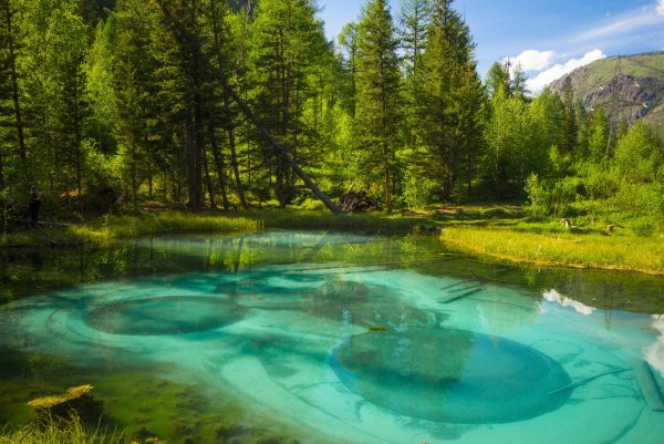 Гейзеровое озеро горный Алтай