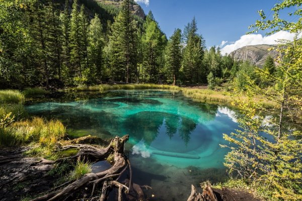 Голубое озеро Алтая (Гейзерное озеро)