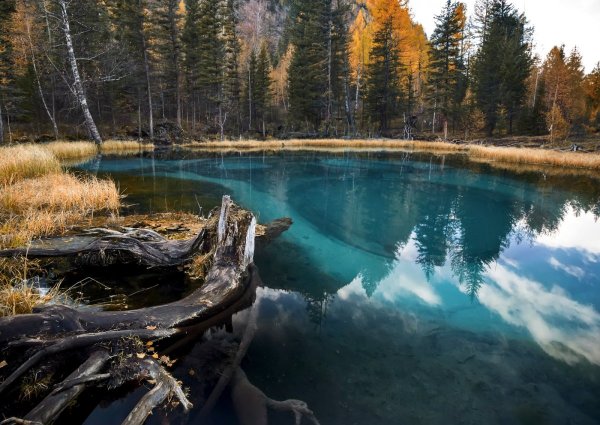 Голубое озеро Алтая (Гейзерное озеро)