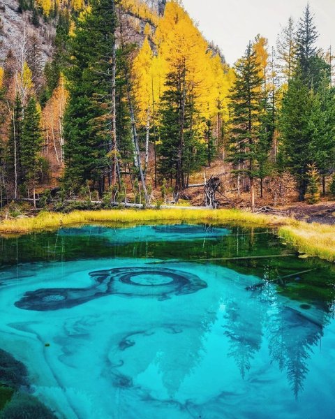 Голубое Гейзеровое озеро горный Алтай