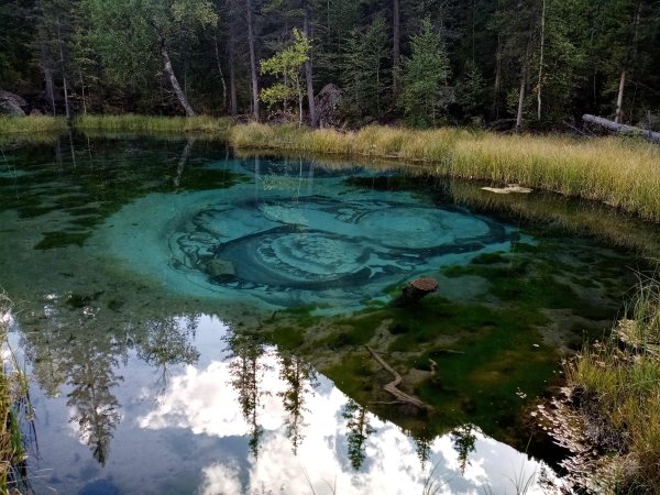 Гейзеровое озеро горный Алтай зимой