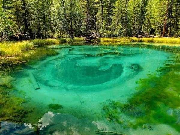 Гейзеровое озеро горный Алтай