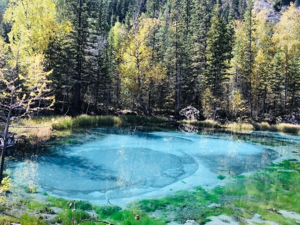 Гейзеровое озеро горный Алтай