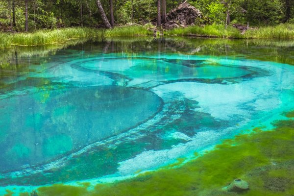 Бирюзовое Гейзеровое озеро на Алтае