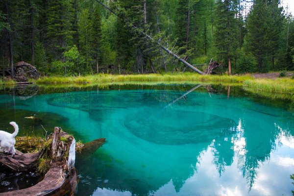 Гейзеровое озеро горный Алтай