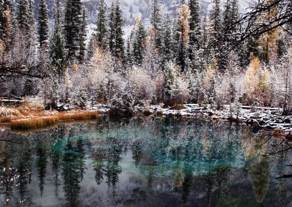 Гейзеровое озеро Алтай зимой