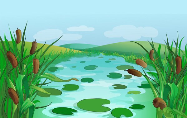 Болото для дошкольников