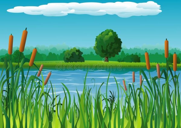 Болото камыши детям