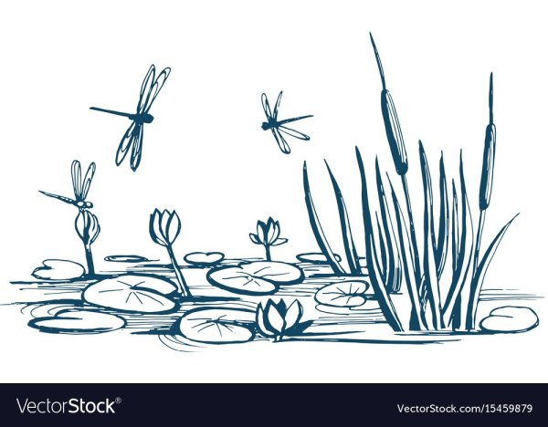 Рисование камышей на болоте