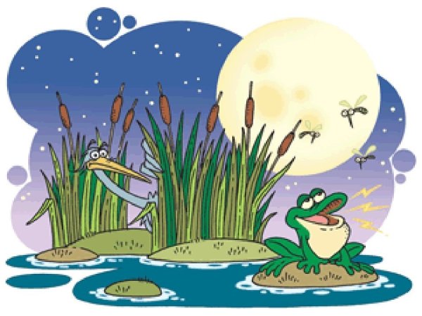 Болото для дошкольников